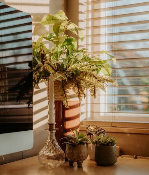 Tips for Creating a Cozy and Inviting Home Office Space