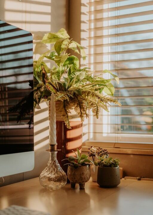 Tips for Creating a Cozy and Inviting Home Office Space